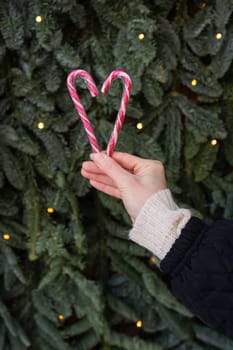 Hand holding two candy canes forming a heart shape, with a Christmas tree in the background