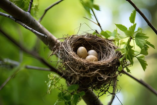 A Serene Bird's Nest with Three Delicate Eggs on a Majestic Tree Branch Created With Generative AI Technology
