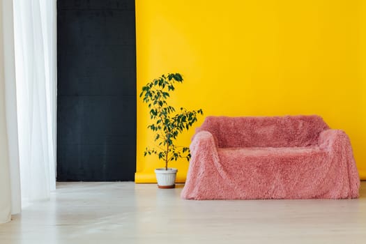 pink sofa with a domestic plant in the interior of the room with a yellow background