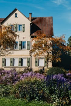 House with nice garden in fall. Flowers in the Park. Bietigheim-Bissingen. Germany, Europe. Autumn Park and house, nobody, bush and grenery