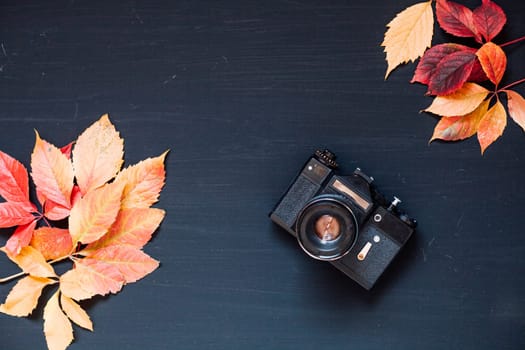 colorful leaves on a black film camera