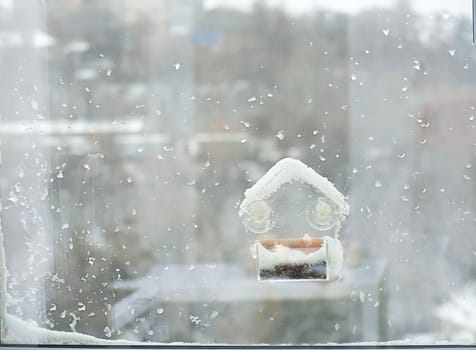 Winter concept. Frost on the window. A small bird feeder with millet and seeds on suction cups on the window, Covered with snow and ice. Copy space.