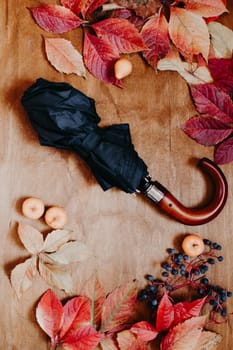 colorful leaves on wooden background black umbrella against the rain