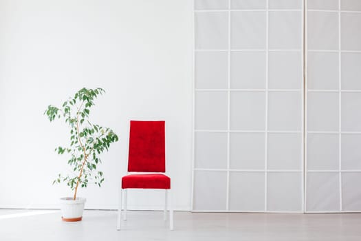 chair with a home plant in the interior of an empty white room