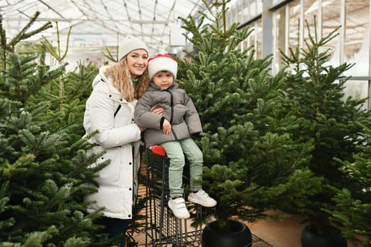 Mother and son buy a Christmas tree in the market.