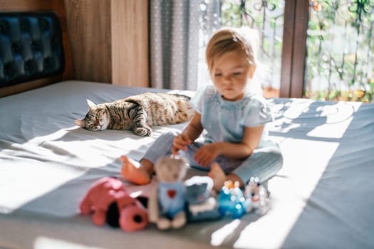 Striped cat lies on a bed and looks at a little girl with plush toys in front of her. High quality photo