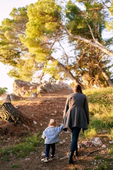 Mom and a little girl walk holding hands on a wooded hill. Back view. High quality photo