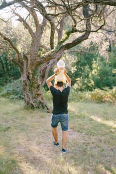 Dad takes a little girl on his shoulders while walking in the park. Back view. High quality photo