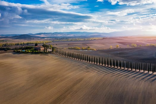 Hills, olive gardens and small vineyard under rays of morning sun, Italy, Tuscany. Famous Tuscany landscape with curved road and cypress, Italy, Europe