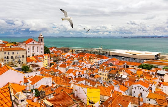 Lisbon, Portugal city skyline over the Alfama district with seagulls flying over the city. Summertime sunshine day cityscape in the Alfama, historic old district Alfama in Lisbon, Portugal. 