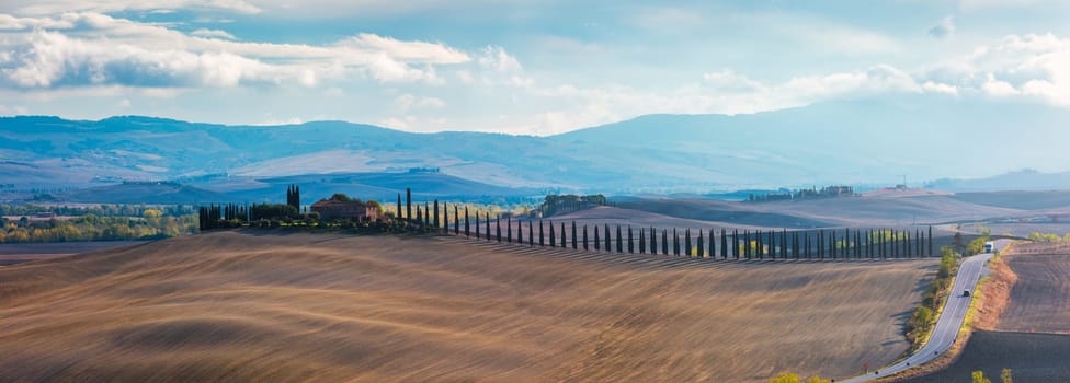 Hills, olive gardens and small vineyard under rays of morning sun, Italy, Tuscany. Famous Tuscany landscape with curved road and cypress, Italy, Europe