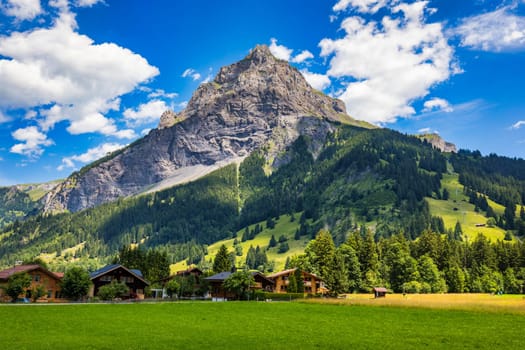 Panoramic view of idyllic mountain scenery in the Alps with fresh green meadows in bloom on a beautiful sunny day in summer, Switzerland. Idyllic mountain landscape in the Alps with meadows in summer.