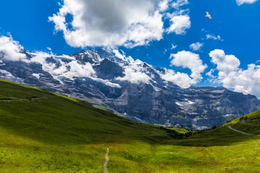 Panoramic view of idyllic mountain scenery in the Alps with fresh green meadows in bloom on a beautiful sunny day in summer, Switzerland. Idyllic mountain landscape in the Alps with meadows in summer.