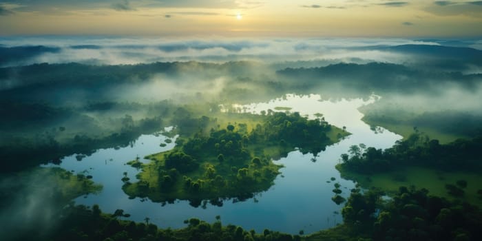 Aerial view of dark green forest with misty clouds. The rich natural ecosystem of rainforest concept of natural forest conservation and reforestation. AI Generated