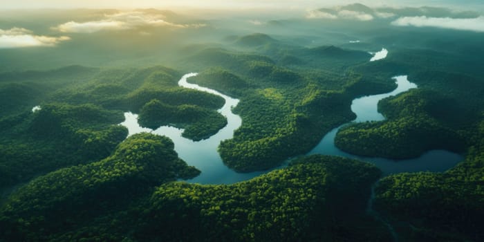 Aerial view of dark green forest with misty clouds. The rich natural ecosystem of rainforest concept of natural forest conservation and reforestation. AI Generated