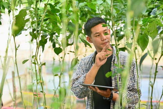 Farmer checking organic vegetable and recording farming data on digital tablet. Smart farm system concept.