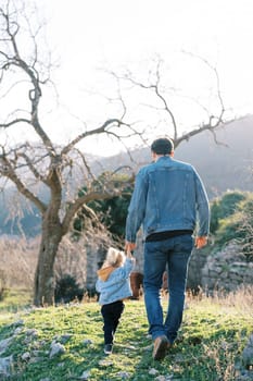 Dad and a little girl are walking along a rocky lawn towards a tree, holding hands. Back view. High quality photo