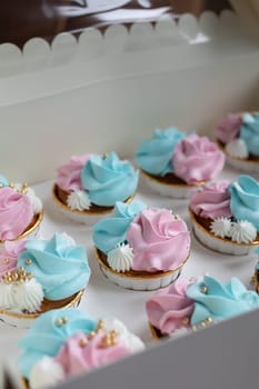 Cupcake blue and pink for gender party. boy or girl. delicious cupcakes with blue and pink cream, golden sparkles celebration concept when the gender of the child becomes known. Festive baby shower sweets concept close up