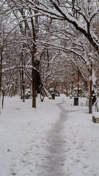 First day of winter, heavy snow in Bucharest city, Romania