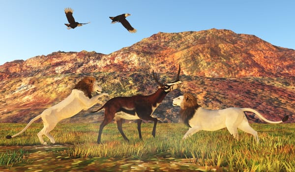 Two American Black Vultures watch as American lions attack a Kyptoceras antelope.