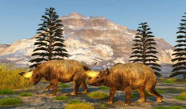 Arsinoitherium was a heavy rhinoceros-like mammal that lived in Africa during the Early Oligocene.