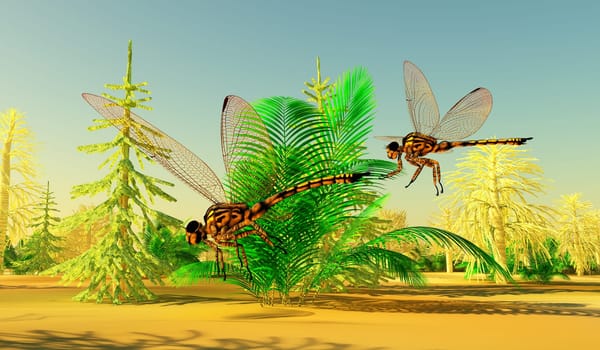 Meganeura Insects were very large predators during the Carboniferous Period of France and England.