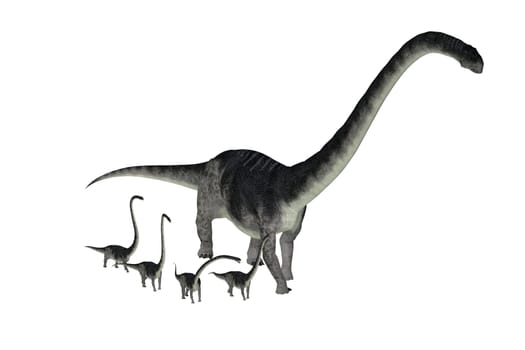Omeisaurus was a herbivorous sauropod dinosaur that lived in China during the Jurassic Period.