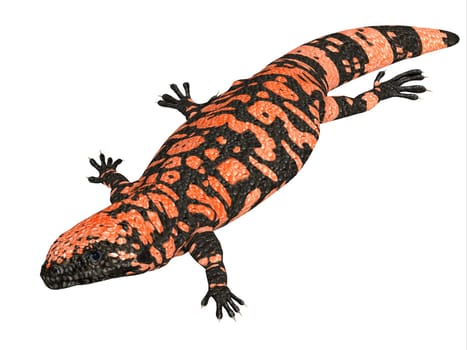 The Orange Gila Monster is a poisonous carnivorous lizard that lives in Mexico and the Southern United States.
