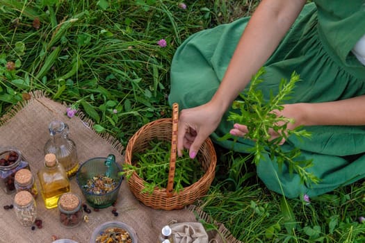 A woman makes herbal tincture. Selective focus. Nature.