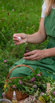 A woman makes herbal tincture. Selective focus. Nature.