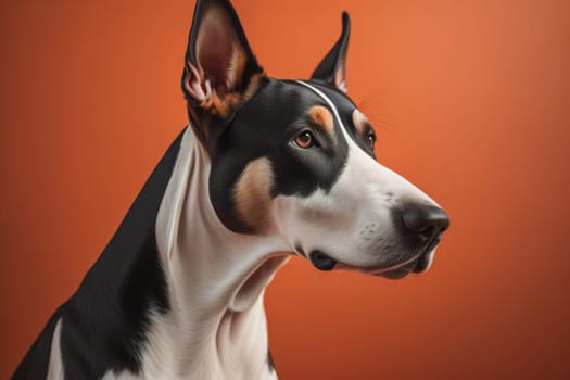 White labrador retriever dog portrait on a solid color background. Studio shot. generative ai