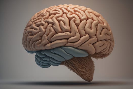 Human brain on a solid color background. ai generative