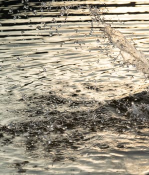 Beautiful background with splashes, drops of water in the river or ocean during the rain close up with nobody, wild nature water texture.