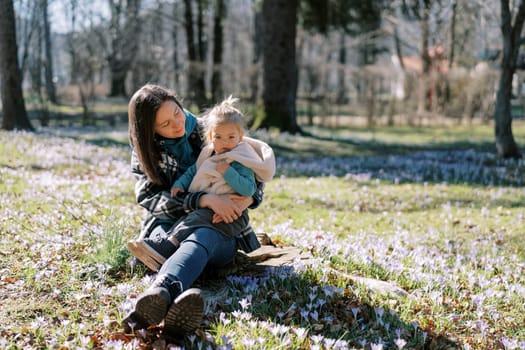 Mom looks at a little girl on her knees sitting on a stump in a clearing with blooming saffron. High quality photo