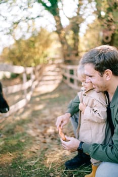 Little girl looks at a carrot in the hands of her dad, who is squatting in front of a paddock. High quality photo