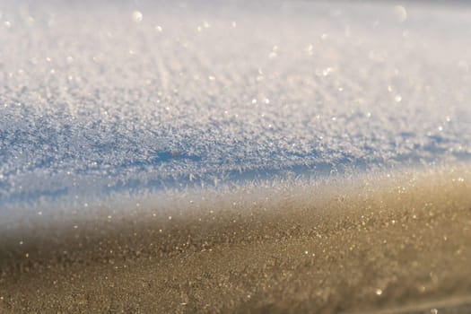 Beautiful frozen microcosmos. Freezing weather frost action in nature. First frost at frozen field plants close-up autumn shot