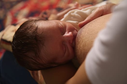 A 2 week old adorable newborn baby suckling at his mother's breast. Mother's milk is the best and healthiest food in the first 6 months of a child's life. Breastfeeding and healthy lactation concept