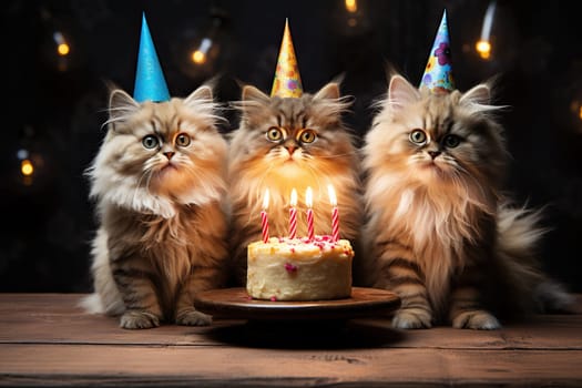 Three fluffy cats in festive caps celebrate a birthday at a wooden table with a cake.