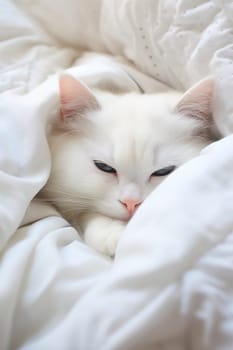 White cat sleeping in bed. Generative AI, Animal.