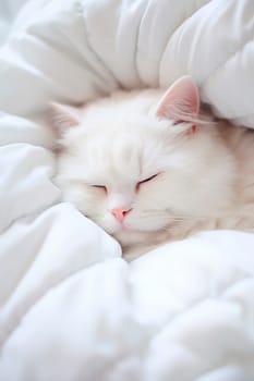 White cat sleeping in bed. Generative AI, Animal.