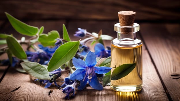 Cosmetic essential oil borage. Generative AI, Nature.