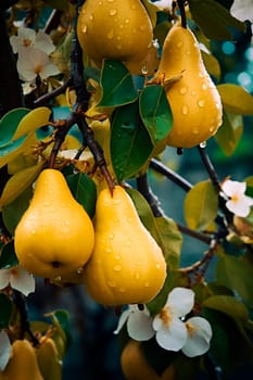 Garden pear fruits on summer branches. Generative AI, Food.