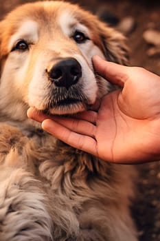 A man strokes a dog head. Generative AI, animal.