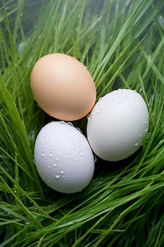 Eggs on green grass from grass-fed birds. Generative AI, Food.