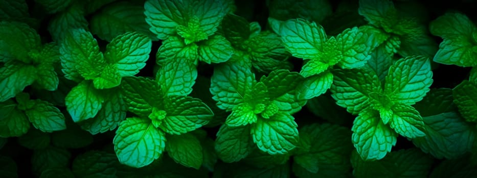 Mint a lot background. Generative AI, food.