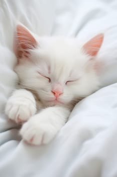 The kitten is sleeping in bed. Generative AI, Love.