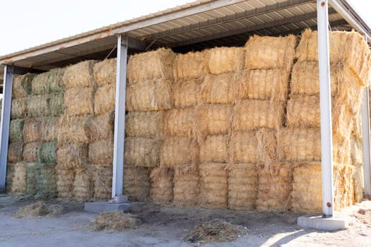 Barn, Hay Storage Shed Full Of Rolled Bales Hay On Farm, Agriculture And Livestock Farming. Agricultural Building, Farmyard Storage. Horizontal Plane. High quality photo