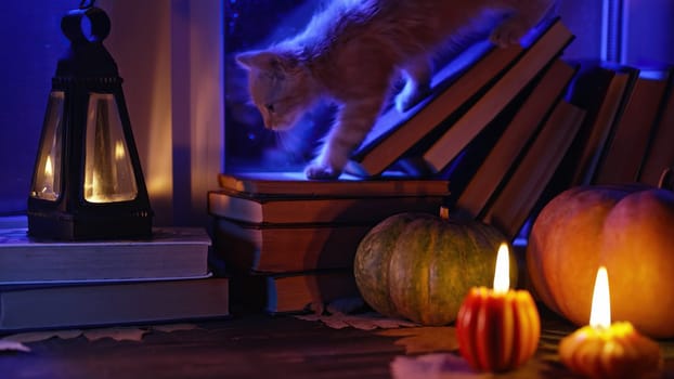 Little kitten sneaks through books stacked by rainy window. Cute pumpkin candles burning, retro background. Reading, cozy ambience, comfort concept.