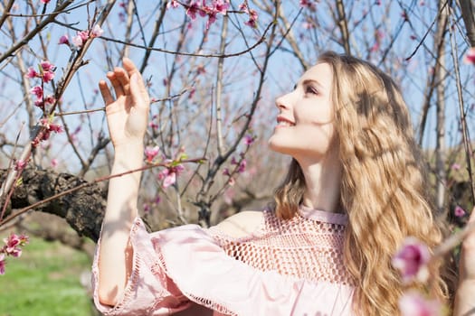 Woman walks in pink flowering peach garden