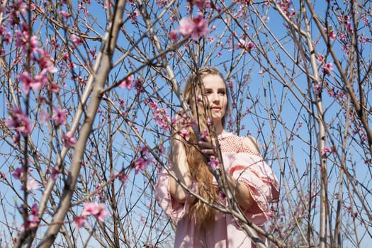 Woman walks in pink flowering peach garden